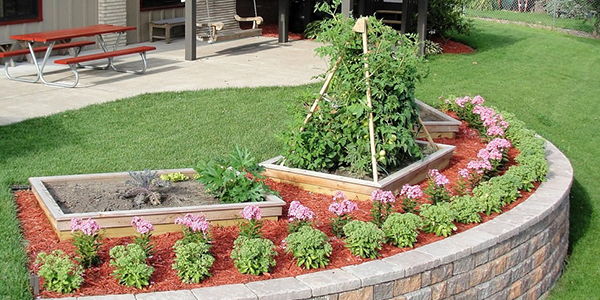 A garden in a backyard. 