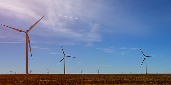 A wind farm in East Texas. 