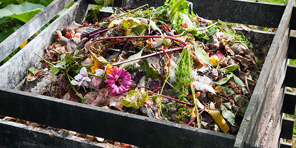 Compost in a crate. 