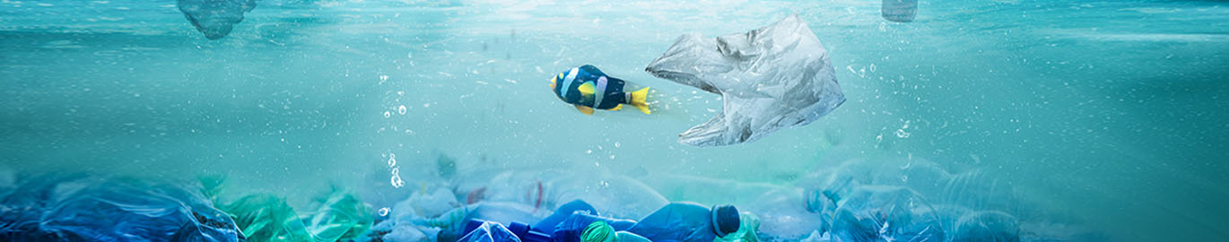 A fish swims by a plastic bag.